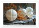 Thumbnail-11