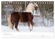 Thumbnail-14