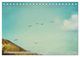 Thumbnail-10