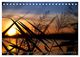 Thumbnail-9