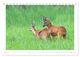 Thumbnail-10