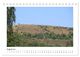 Thumbnail-13