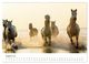 Thumbnail-10
