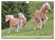 Thumbnail-8