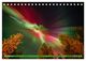 Thumbnail-14