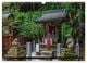 Thumbnail-2