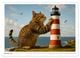 Thumbnail-12