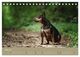 Thumbnail-10