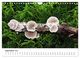 Thumbnail-11