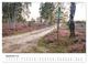 Thumbnail-14