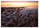 Thumbnail-8