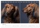 Thumbnail-10