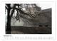 Thumbnail-13