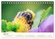 Thumbnail-10