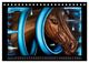 Thumbnail-14