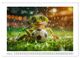 Thumbnail-10
