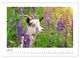 Thumbnail-12