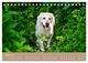 Thumbnail-8