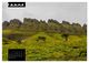 Thumbnail-14