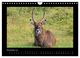 Thumbnail-13