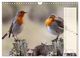 Thumbnail-11