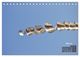 Thumbnail-10
