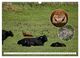 Thumbnail-12
