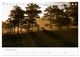 Thumbnail-14