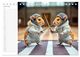 Thumbnail-8