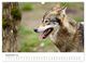 Thumbnail-11