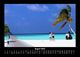 Thumbnail-12