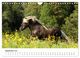 Thumbnail-11