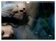 Thumbnail-13