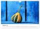 Thumbnail-12