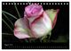 Thumbnail-10
