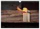 Thumbnail-11