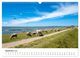 Thumbnail-14