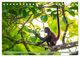 Thumbnail-11