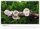 Thumbnail-14