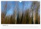 Thumbnail-12