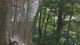 Thumbnail-9