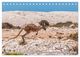 Thumbnail-8