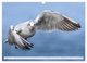 Thumbnail-10