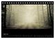 Thumbnail-9