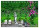 Thumbnail-12
