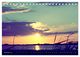 Thumbnail-13