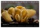 Thumbnail-11