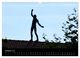 Thumbnail-12