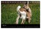 Thumbnail-9