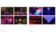 Thumbnail-9